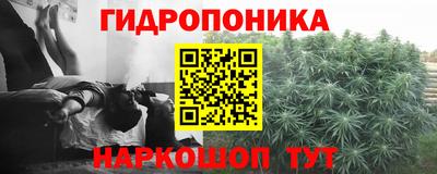 jwh Сланцы