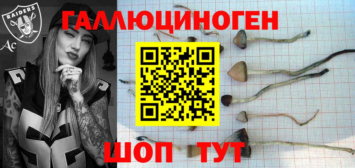 Псилоцибиновые грибы Psilocybe Орехово-Зуево